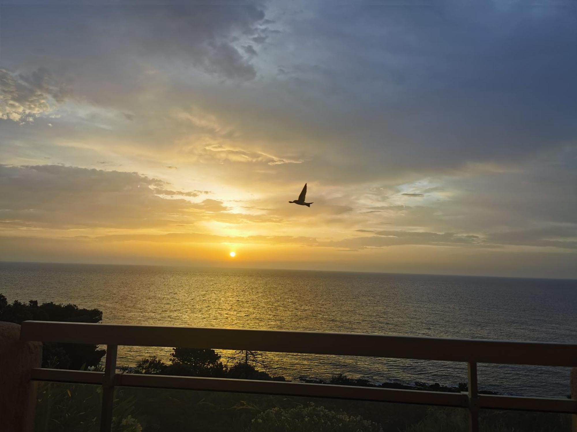 Studio Vue Sur Mer Конка Екстериор снимка