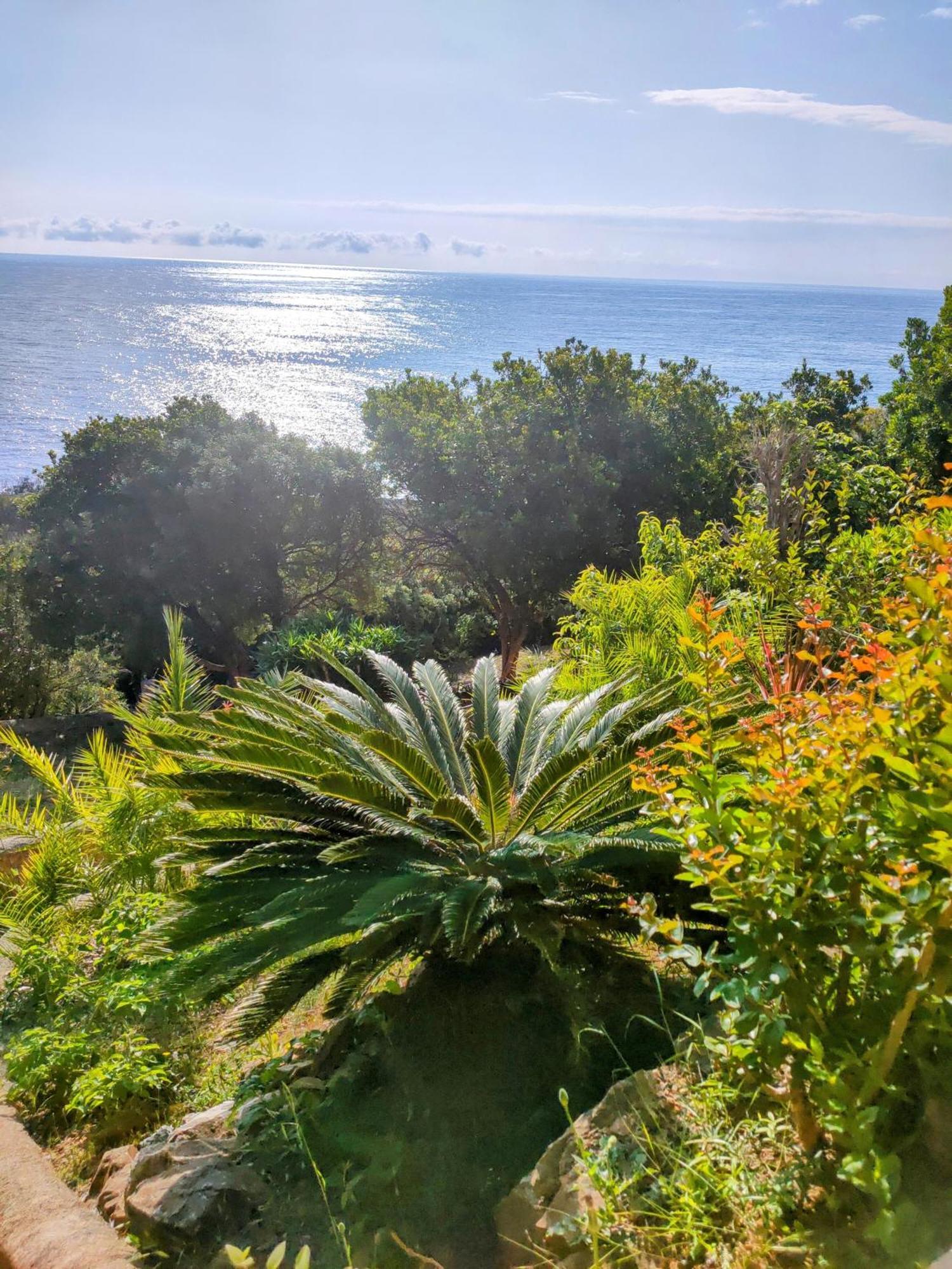 Studio Vue Sur Mer Конка Екстериор снимка