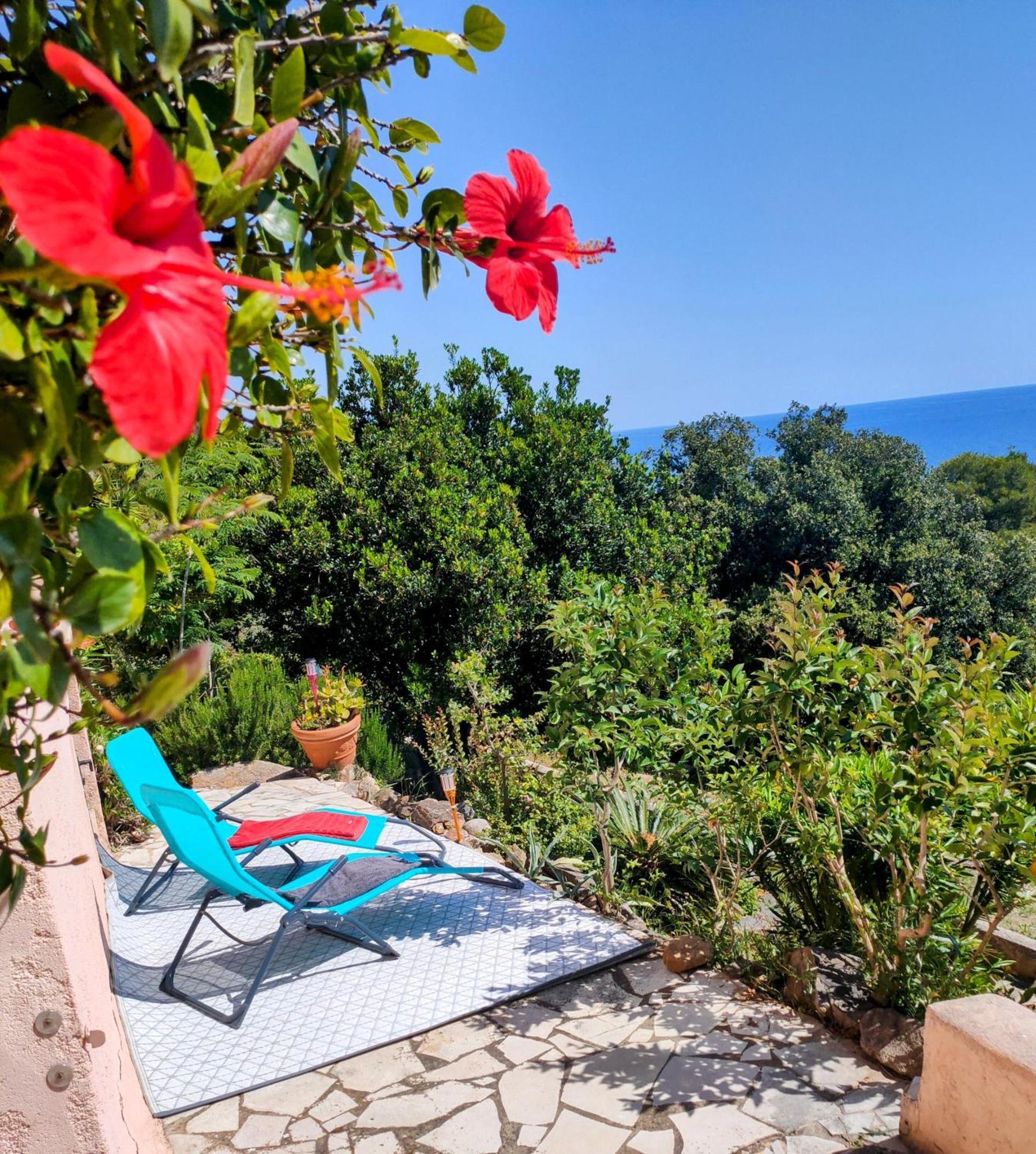 Studio Vue Sur Mer Конка Екстериор снимка