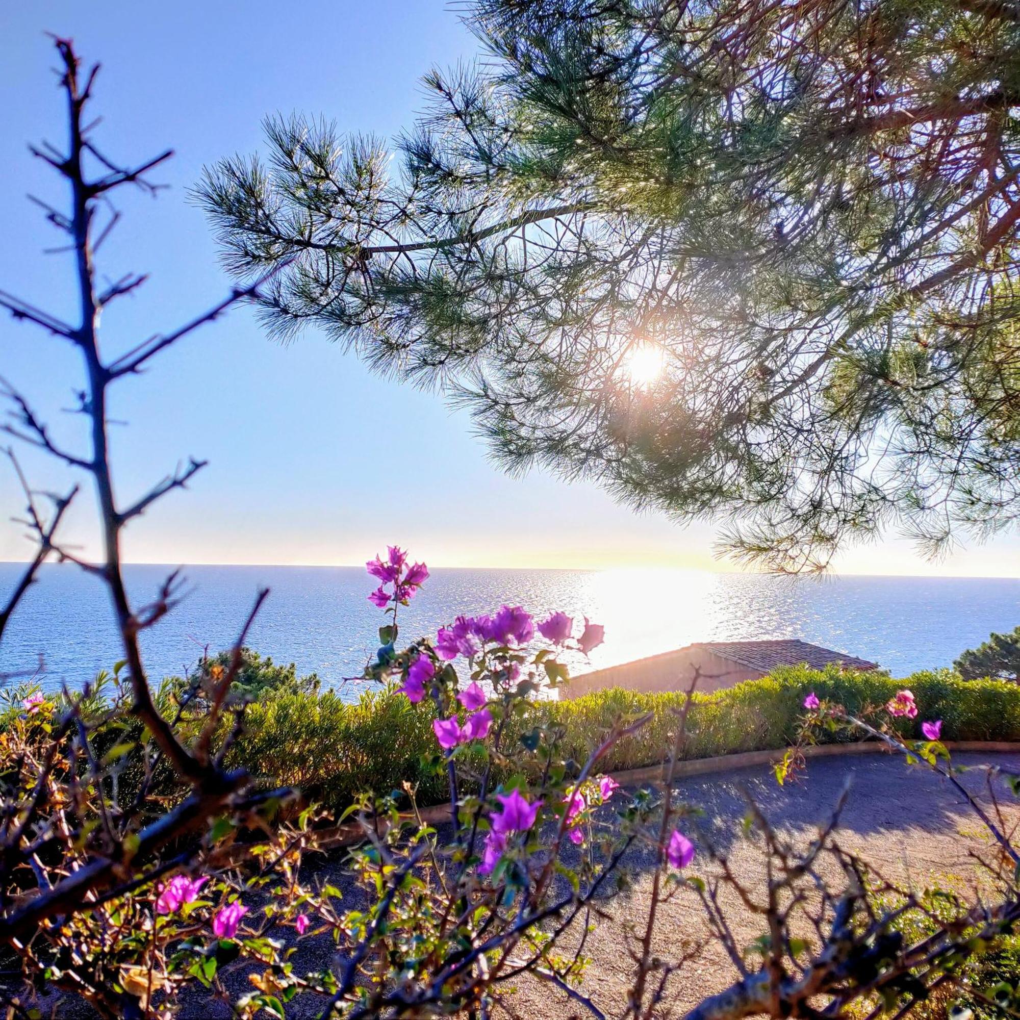 Studio Vue Sur Mer Конка Екстериор снимка